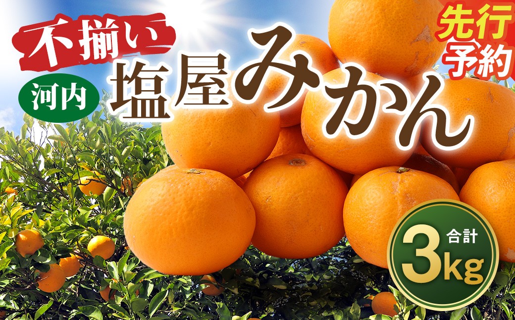 
                  ＜ R8年熊本地震復興支援 ＞【不揃い】選べる 河内 塩屋みかん 3kg 熊本 国産 みかん 蜜柑 ミカン 果物 くだもの フルーツ
                
