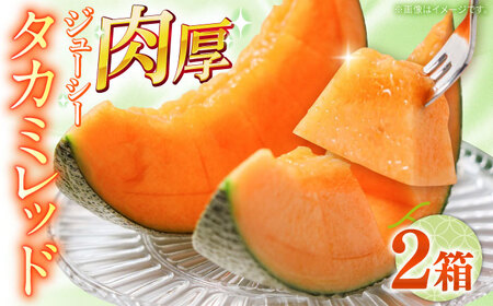 【2026年5月-発送】タカミメロン レッド 2箱（1箱 3〜6玉） / メロン めろん フルーツ 果物 / 南島原市 / 南島原果物屋[SCV032]