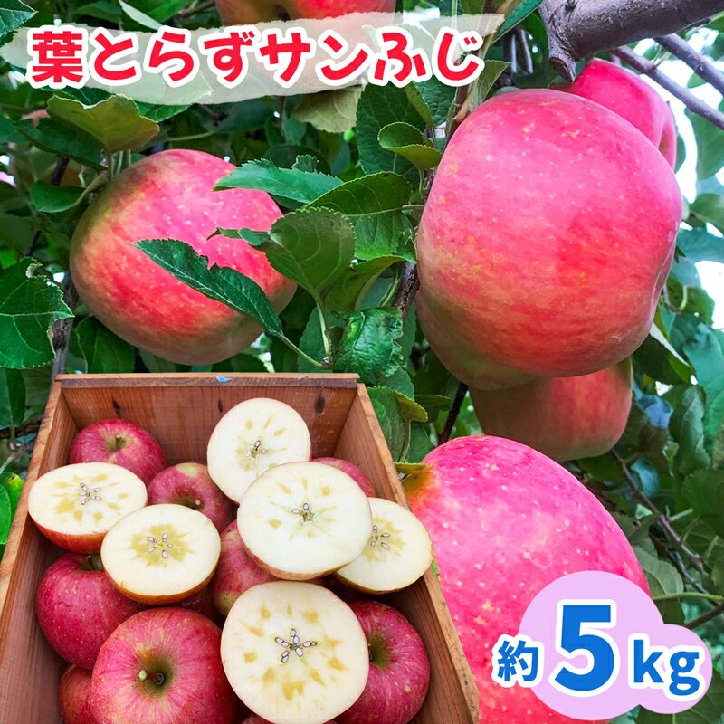 【ふるさと納税】完熟！葉とらずサンふじ 5kg｜青森産 青森りんご りんご リンゴ 林檎 果物 フルーツ さんふじ サンフジ 令和7年 2025年 [0891]