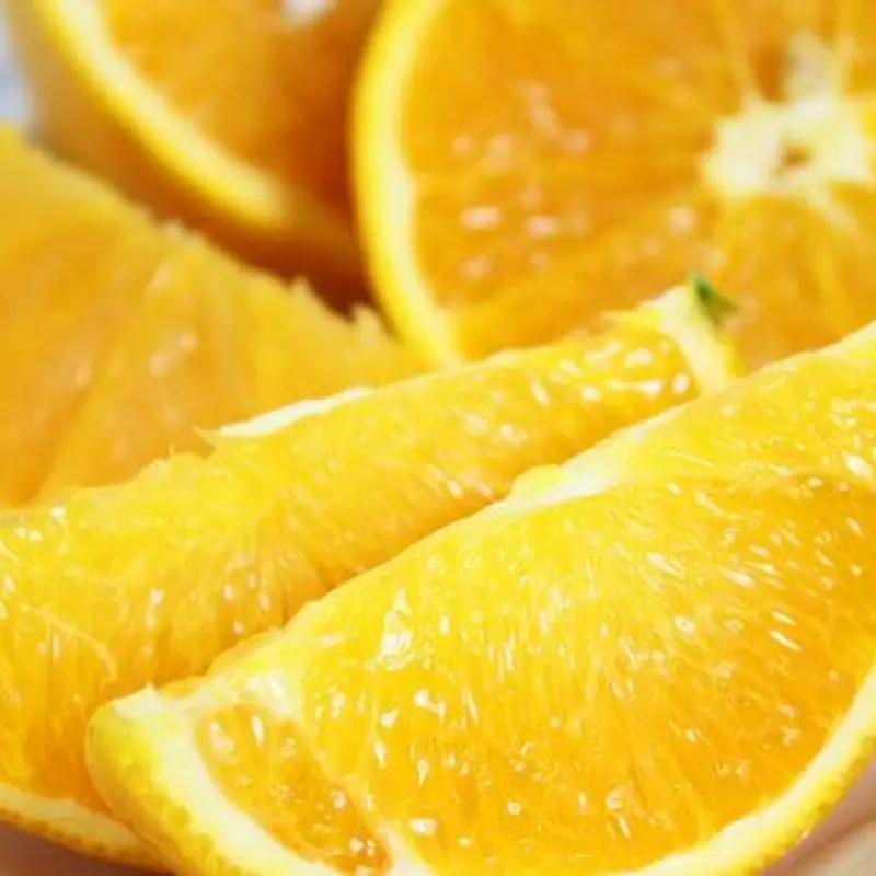 【国産　訳あり】希少　バレンシアオレンジ　7kg【ご家庭用】　※2026年6月下旬頃～2026年7月上旬頃に順次発送予定【uot712】