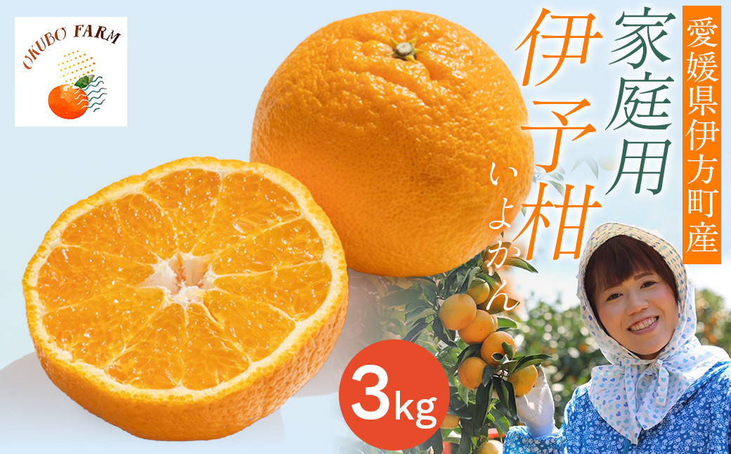 
                  【先行予約】【家庭用】伊予柑 3kg ※北海道・沖縄・離島への配送不可 （2026年1月中旬より順次発送予定）  【 ふるさと納税 人気 おすすめ ランキング 柑橘 みかん ミカン 伊予甘 フルーツ 果物 OKUBO FARM 愛媛県産 家庭用 愛媛県 伊方町 送料無料 】 IKTAT004
                