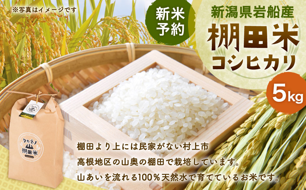 
            【新米受付・令和7年産米】新潟県村上市岩船産 棚田米コシヒカリ5kg NA4038 
          