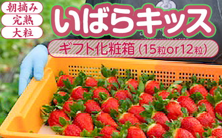 【1月中旬～4月上旬発送】いばらキッス いちご 朝摘み 完熟 大粒 ギフト化粧箱 15粒or12粒 茨城県常総市産 | 苺 イチゴ ※2026年1月中旬～4月上旬頃に順次発送予定