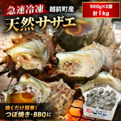 【越前海岸・美味直送シリーズ】急速冷凍サザエ　500g×2パック【配送不可地域：離島】【1750323】