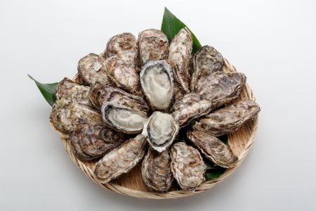 オレの牡蠣アミスイ 殻付牡蠣 5kg｜朝どれ 生食用 生がき 生ガキ かき 大粒 貝 シーフード オイスター 海鮮 魚介類 濃厚 バーベキュー BBQ カンカン焼き おおたけカキ 特大サイズ 広島県産