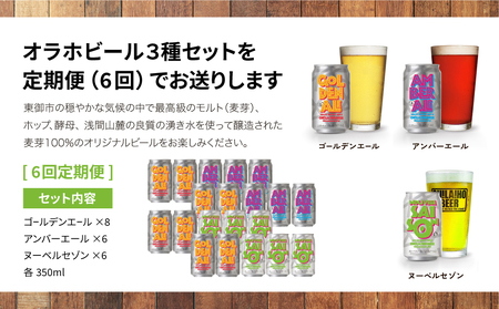 【6回定期便】オラホビール20本（3種合計20本）