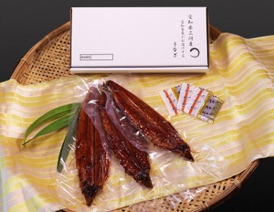 「生産者愛知養魚」がお届けする三河産うなぎ「蒲焼冷凍＜超特大＞3尾(合計580g〜600g)」 うなぎ 蒲焼き 鰻 ウナギ 国産うなぎ 愛知県 西尾市 大きいうなぎ 丑の日 土用の丑の日 ・A091-