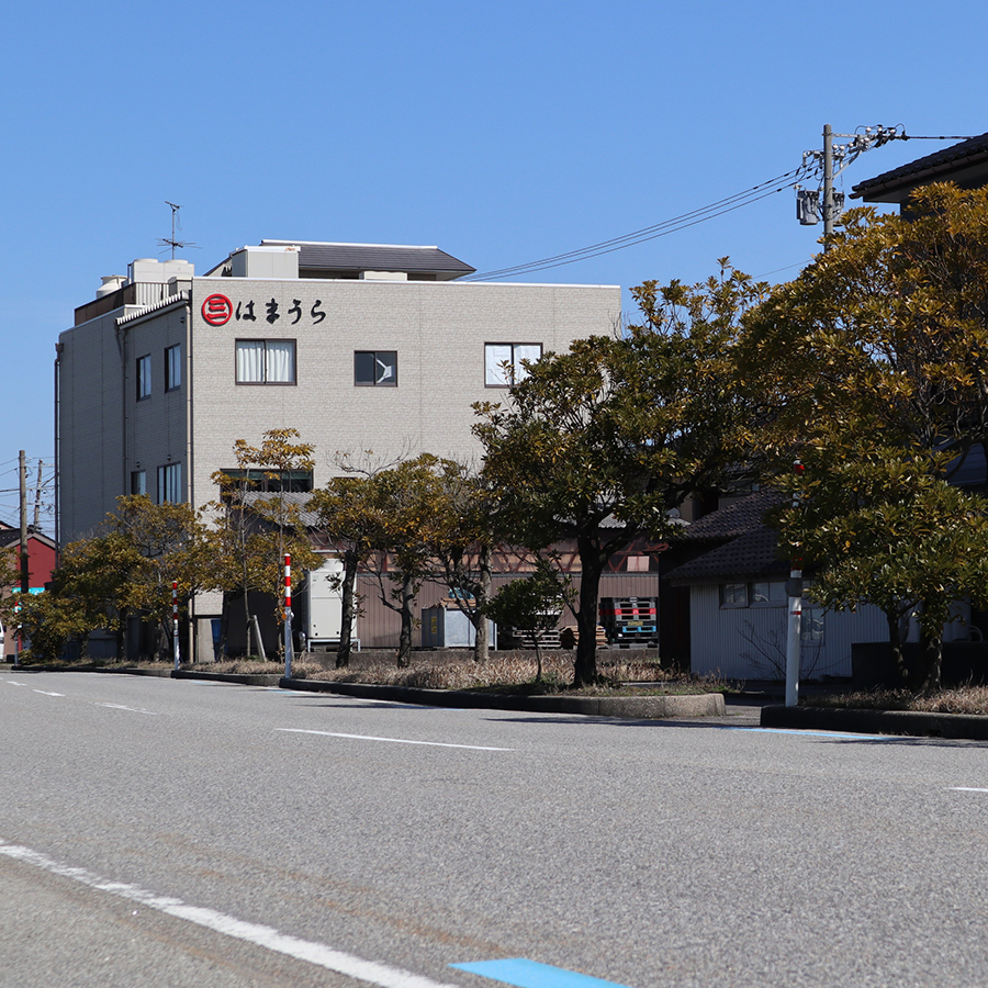 ＜浜浦水産＞富山湾産ほたるいか素干詰合せ