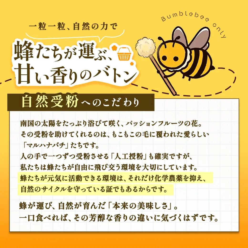 【先行予約】パッションフルーツ 家庭用 (バラ詰 1kg) 【7月～9月頃出荷開始】サイズ混合 リリコイ 果物 フルーツ デザート 人気 南国 デザート 奄美大島 宇検村 鹿児島 一どん