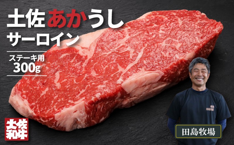 
                  土佐 あかうし 赤牛 赤身 サーロイン ステーキ用 300g | 和牛 あか牛 アカウシ 牛肉 希少 ブランド 国産 プレゼント ギフト 冷凍 贈答 高知県 南国市
                