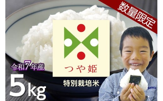 【数量限定】【令和7年新米キャンペーン】特別栽培米つや姫 5kg(5kg×1袋) 　うまい庄内