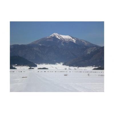 ふるさと納税 山口市 維新の一粒5kg×6袋(白米) A097 |  | 02