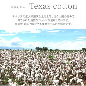 ＜シングル＞太陽の恵み テキサスコットンタオルケット(140×190cm)　SNT-20TX-BE
