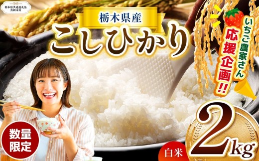 【栃木県共通返礼品】【先行予約】訳あり 数量 限定 定期便 令和8年度 栃木県産コシヒカリ 約 2kg | 数量限定 こしひかり  精米 白米 米 ごはん おいしい  密閉パック ふるさと納税 那珂川町 栃木県 送料無料