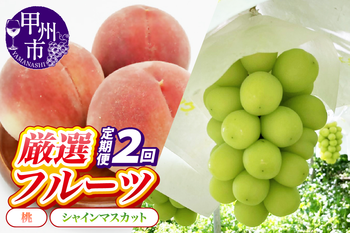 【定期便】甲州の名産品が詰まった厳選フルーツ2回定期便 桃・シャインマスカット【2026年発送】（IS）C-465