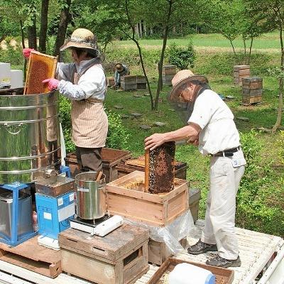 ふるさと納税 那須塩原市 人気の純国産はちみつ5本+ドリンク&のど飴セット |  | 02