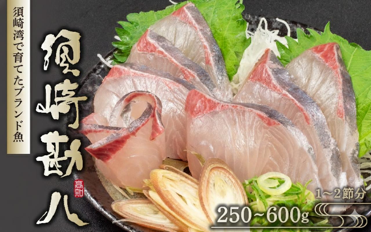 
                  須崎勘八 250g ～ 600g  勘八 環八 カンパチ かんぱち ブランド 魚 鮮魚 冷凍 海鮮 刺身 さしみ 焼き魚 料理 簡単調理 背 腹 下処理有 高知県 須崎市 NS028ALL
                