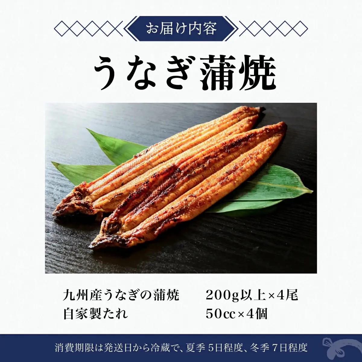 うなぎ蒲焼き 800g (200g×4尾) 
