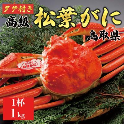 ふるさと納税 琴浦町 【2026年11月発送】特撰 松葉がに(茹)【タグ付き】1kg1杯 ※足の欠けなし N1_Y