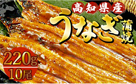 うなぎ 蒲焼き 国産 鰻 10尾(合計約2200g) 人気 冷凍 養殖 高知県産  ウナギ かばやき 惣菜 お手軽 加工品 加工食品 魚介類 ss-0037