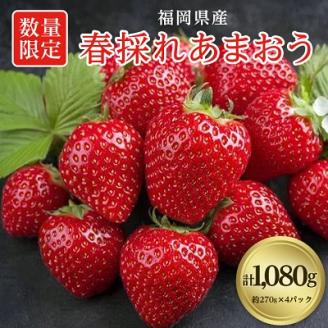 【数量限定】福岡県産 春採れあまおう 約270g×4パック【配送不可地域：離島】