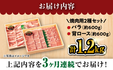 【3回 定期便 】 焼肉 豚 大西海 SPF豚 背ロース ＆ バラ （ 焼肉 用）計1.2kg（各600g）焼肉 焼肉 肉 食品 肉類 国産 豚肉 食べ比べ こだわり セット 甘み 旨み 豚バラ バラ