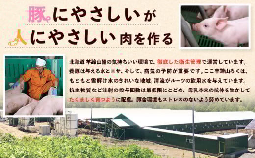 留寿都産　ルスツ羊蹄ぶた　焼肉セット（バラ肉・肩ロース肉【800g】）