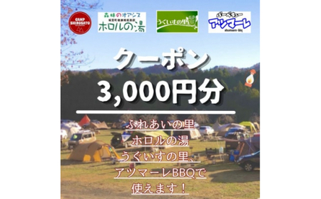 ＜城里町ホロルの湯、ふれあいの里、うぐいすの里、アツマーレBBQで使えるクーポン券＞3,000円分 （1000円×3枚） (BF019)