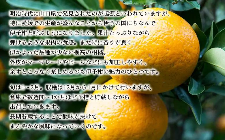 【先行予約】＜無茶々園の伊予柑 約5kg＞ 果物 いよかん イヨカン みかん ミカン 蜜柑 柑橘 フルーツ 期間限定 季節限定 特産品 愛媛県 西予市【常温】『2027年1月中旬～2月中旬に順次出荷予