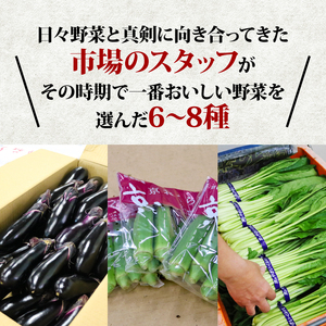 野菜のプロが選ぶ 京野菜 定期便 4回 6～8種類 野菜 