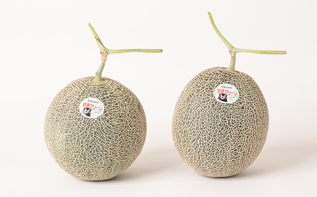 【先行予約】 熊本県産 肥後グリーンメロン 2玉 (1玉1.8kg～2.2kg) メロン 果物 フルーツ 【2025年6月上旬より順次発送】