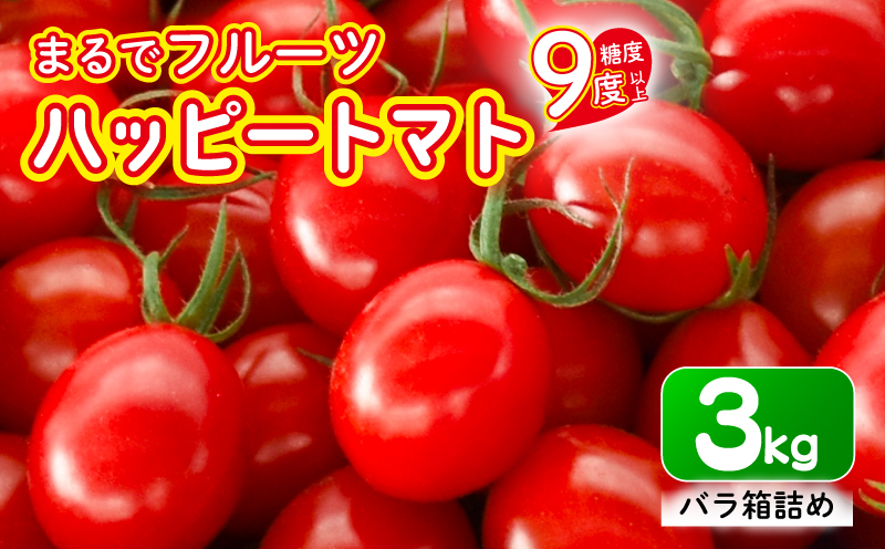 【先行受付開始】ハッピートマト3kg