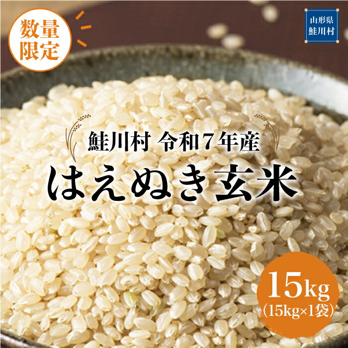 【ふるさと納税】数量限定！＜令和7年産米＞ 鮭川村 はえぬき 【玄米】15kg （15kg×1袋）＜配送時期選べます＞
