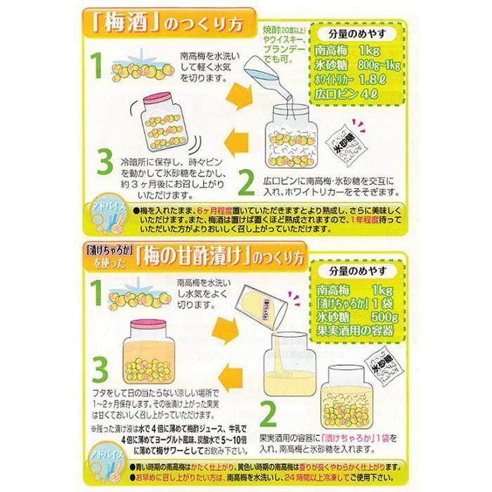 【梅干・梅酒用】（LまたはM－10Kg）熟南高梅＜2025年6月上旬～7月7日発送予定＞フルーツ 果物 くだもの 食品 人気 おすすめ 送料無料【ART08】　XL09_イメージ5