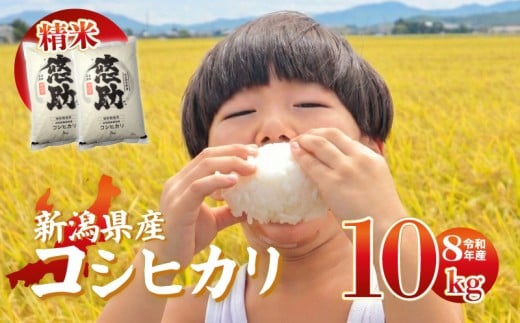 先行予約 令和8年産 コシヒカリ 10kg 特別栽培米 単品 コンテスト 入賞 【 コンテスト 入賞米 米 おこめ お米 ブランド米 ご飯 ごはん オニギリ お弁当 kome 送料無料 数量限定 農家直送 産地直送 国産 川瀬農園 四代目 悠助 新潟 新発田 kwsKH003_202609  】　