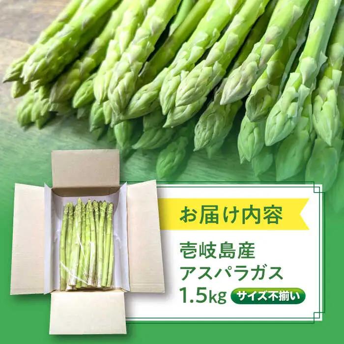 【先行予約】訳あり アスパラガス1.5kg [JGI005] アスパラ 野菜