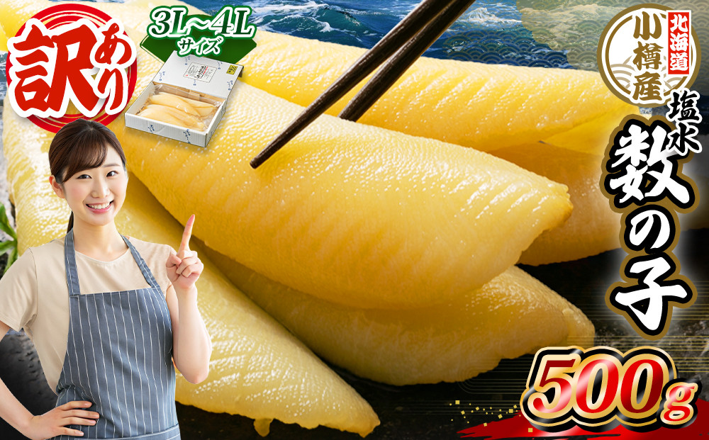
北海道 小樽産 訳あり 塩水 数の子 500g 国産 冷蔵 かずのこ 4Lサイズ 魚卵 お節 おせち
