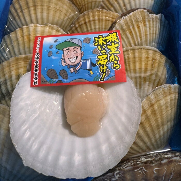 【ふるさと納税】【12/31決済分まで1月中配送】 [北海道根室産]活ホタテ貝20枚(計3.5kg〜4kg) B-45016