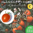 【ふるさと納税】モリヒロ園芸が育てたじょんならんトマトの定期便C　ギフトボックス入り（年間11回）　【定期便・ 野菜 ミニトマト 甘い フルーツ サラダ 】　お届け：ご寄附（入金）頂いた月の翌月回より年間スタート致します