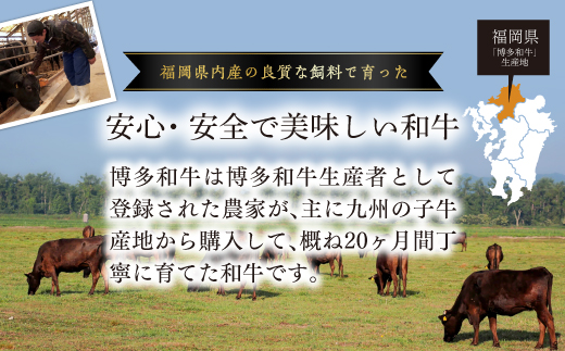 3G41 訳あり！【A4～A5】博多和牛焼肉切り落とし(肩ロース・バラ）　1kg(500ｇ×２P)