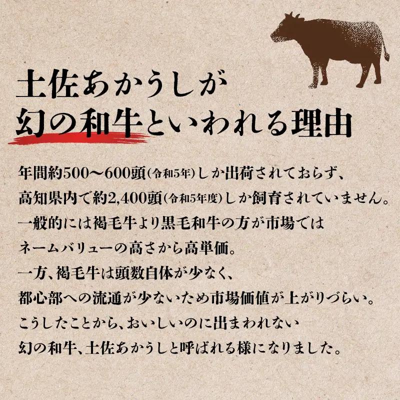 【ふるなびWEEK対象】 土佐あかうし ミンチ 1000g 1kg あかうし MT-03