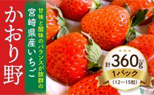 《2026年発送》【数量・期間限定】宮崎県産いちご「かおり野」1パック(計360g以上：12粒～15粒)_M260-013