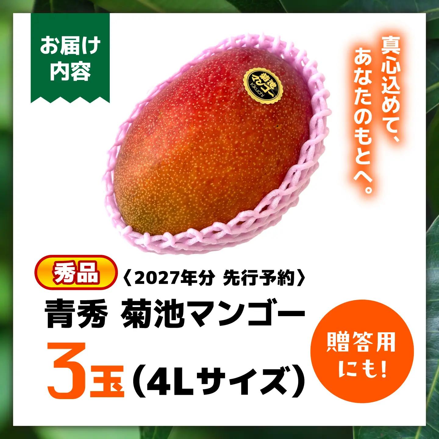 【2027年6月上旬から順次発送】菊池マンゴー3玉 4Lサイズ 青秀 友枝マンゴー農園[AYDF007]