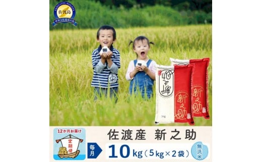 【新米予約 12か月定期便】佐渡島産 新之助 無洗米10Kg 令和7年