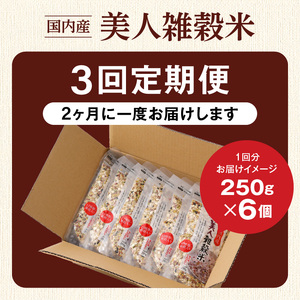 【隔月3回　定期便】国内産 美人雑穀米 250g×6個 1500g×3回_雑穀米 国内産 250g × 6個 お届け回数 3回 美人雑穀米 雑穀 12種 ブレンド 混ぜて炊くだけ 冷めても美味しい 胚