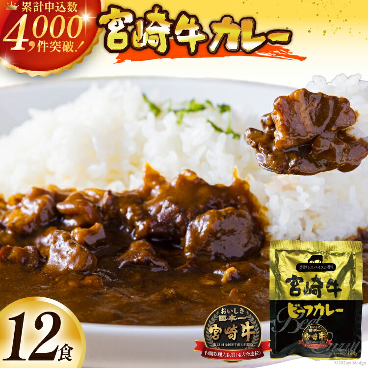 【ふるさと納税】 お肉多め！ 宮崎牛 カレー 160g 12袋 【選べる1回〜12回発送】 レトルト [九州産商 宮崎県 日向市 452061185] 常温 常温保存 小分け ビーフカレー 中辛 宮崎牛カレー 牛 常備食 保存食 防災 備蓄 非常食 防災食