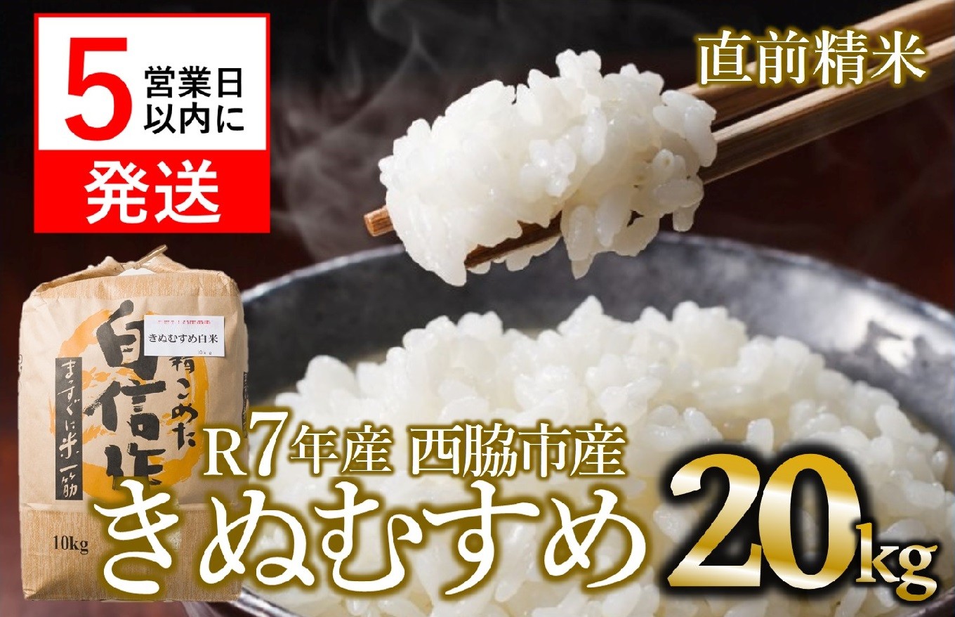 
                  【スピード発送】きぬむすめ 20kg 白米 令和７年産 米 お米 こめ コメ 人気 西脇市産 精米
                