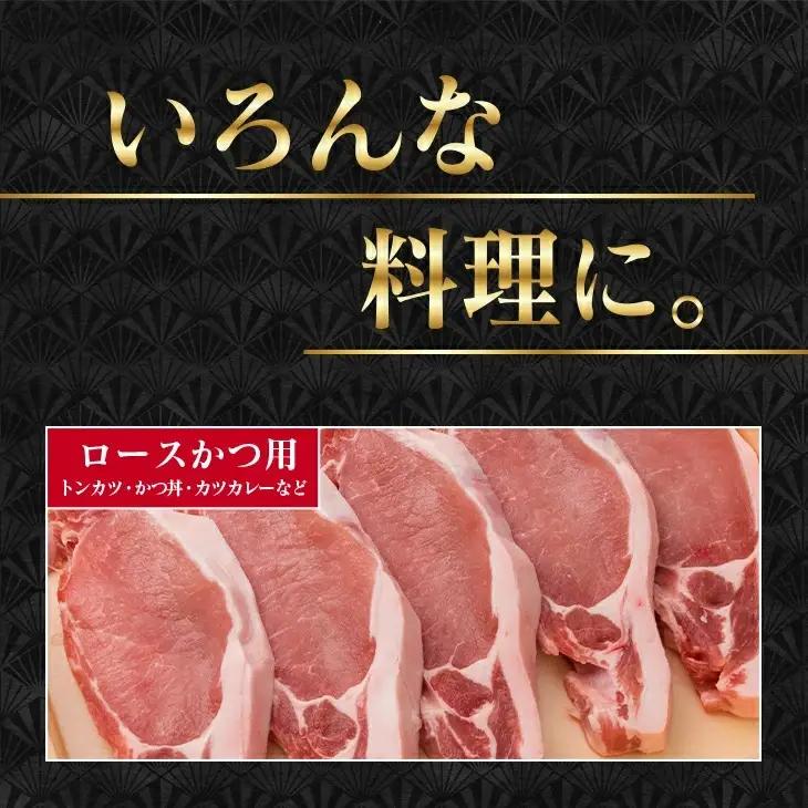 宮崎県産 豚肉 豚ロース バラエティー セット 合計1.5kg ポーク_BB119-23