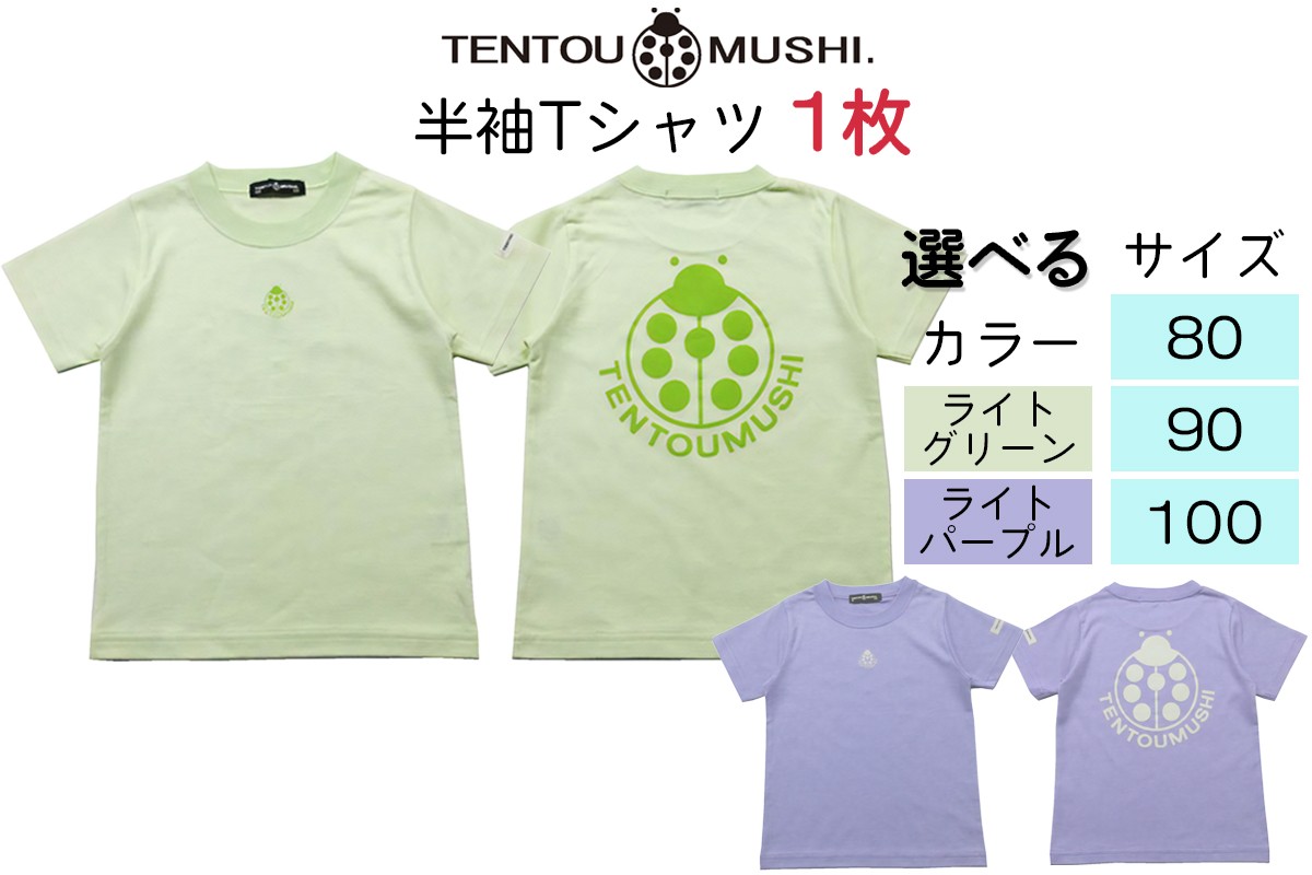 
                  子ども用 半袖Tシャツ TENTOUMUSHI てんとう虫PT｜子供 服 Tシャツ 綿 国産 日本製 赤ちゃん ベビー お祝い [0795-0801]
                