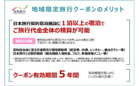 長崎県長崎市 日本旅行 地域限定旅行クーポン60,000円分 ／ チケット 旅行 宿泊券 ホテル 観光 旅行 旅行券 長崎県 長崎市 長崎市旅行